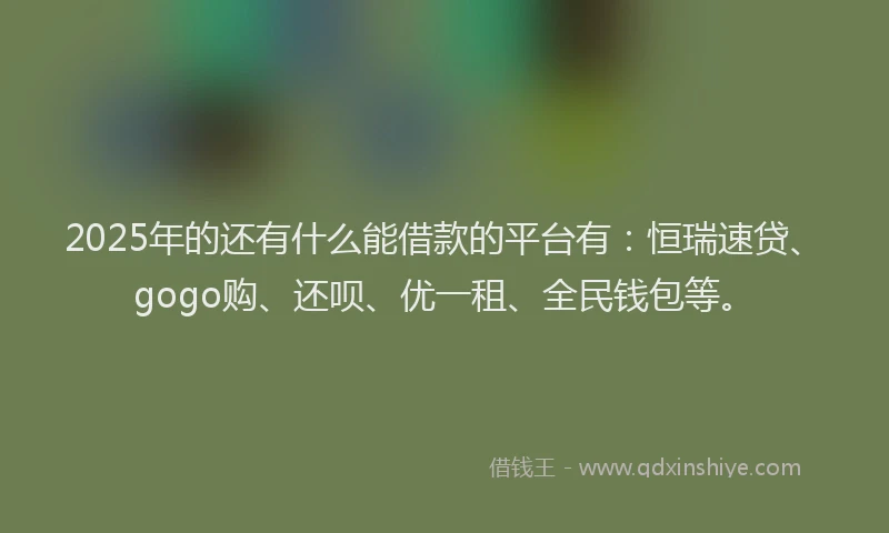 2025年的还有什么能借款的平台有：恒瑞速贷、gogo购、还呗、优一租、全民钱包等。