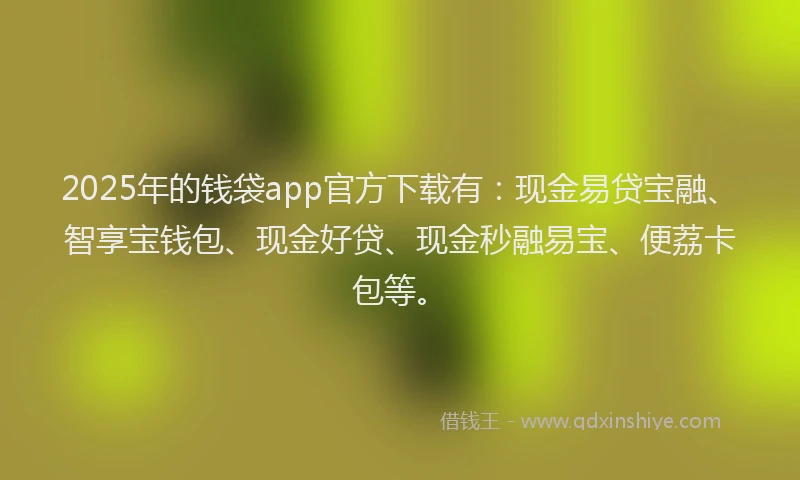 2025年的钱袋app官方下载有：现金易贷宝融、智享宝钱包、现金好贷、现金秒融易宝、便荔卡包等。