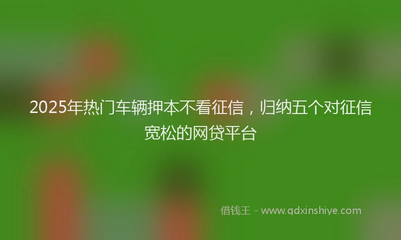 2025年热门车辆押本不看征信,归纳五个对征信宽松的网贷平台