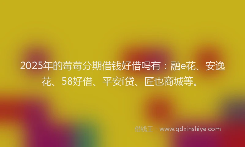 2025年的莓莓分期借钱好借吗有:融e花、安逸花、58好借、平安i贷、匠也商城等。