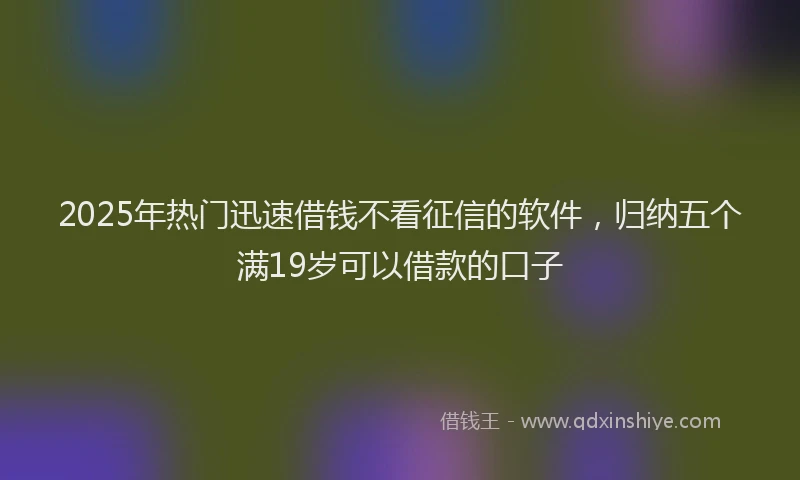 2025年热门迅速借钱不看征信的软件,归纳五个满19岁可以借款的口子