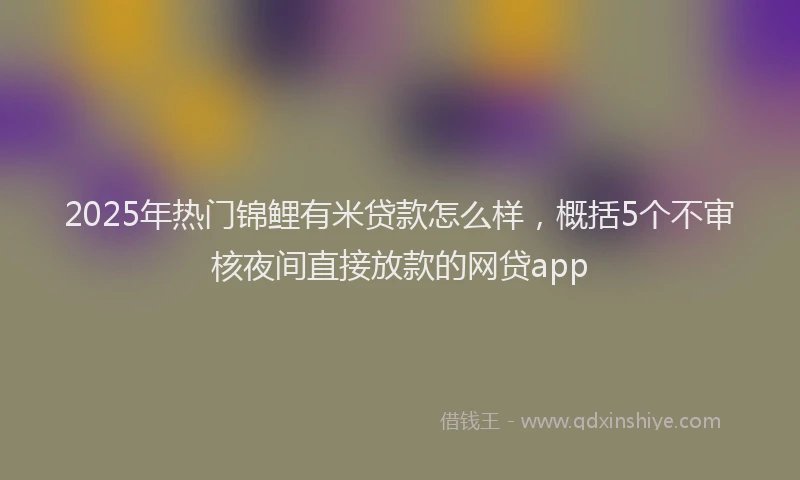 2025年热门锦鲤有米贷款怎么样，概括5个不审核夜间直接放款的网贷app