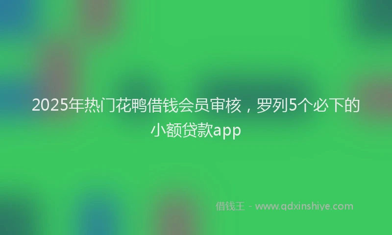 2025年热门花鸭借钱会员审核，罗列5个必下的小额贷款app