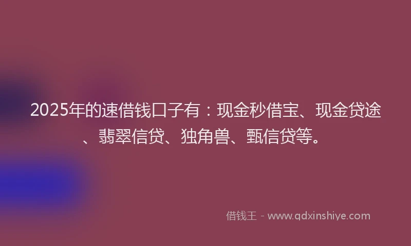 2025年的速借钱口子有：现金秒借宝、现金贷途、翡翠信贷、独角兽、甄信贷等。