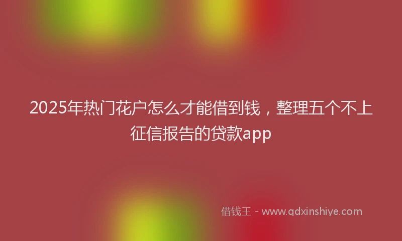 2025年热门花户怎么才能借到钱，整理五个不上征信报告的贷款app