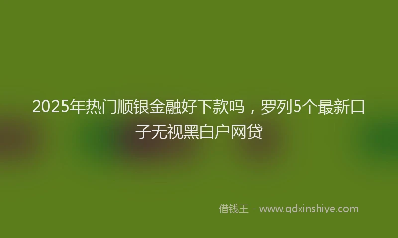 2025年热门顺银金融好下款吗，罗列5个最新口子无视黑白户网贷