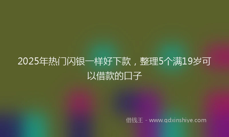 2025年热门闪银一样好下款，整理5个满19岁可以借款的口子