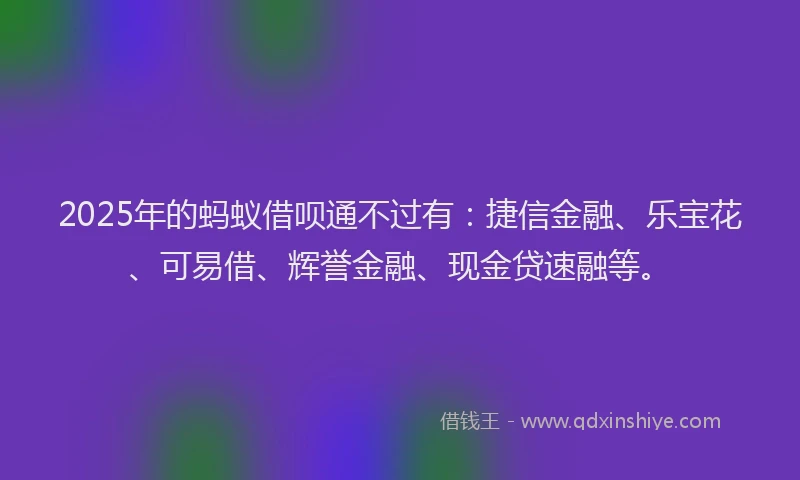 2025年的蚂蚁借呗通不过有:捷信金融、乐宝花、可易借、辉誉金融、现金贷速融等。