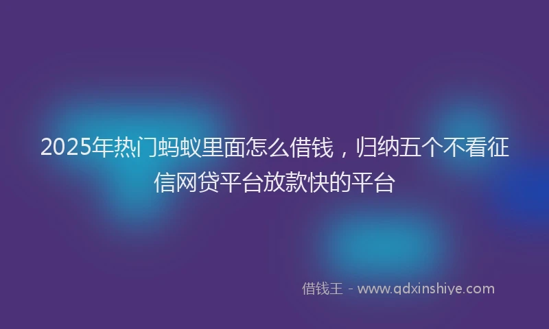 2025年热门蚂蚁里面怎么借钱，归纳五个不看征信网贷平台放款快的平台
