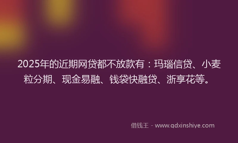 2025年的近期网贷都不放款有：玛瑙信贷、小麦粒分期、现金易融、钱袋快融贷、浙享花等。