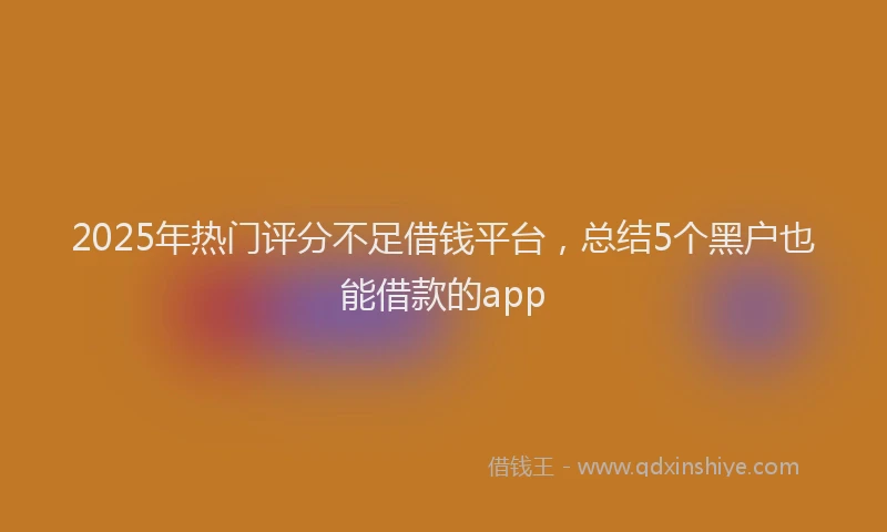 2025年热门评分不足借钱平台，总结5个黑户也能借款的app