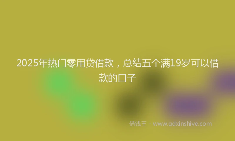 2025年热门零用贷借款,总结五个满19岁可以借款的口子