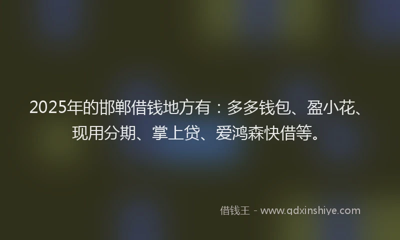 2025年的邯郸借钱地方有:多多钱包、盈小花、现用分期、掌上贷、爱鸿森快借等。