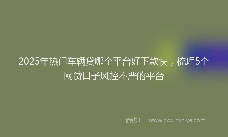 2025年热门车辆贷哪个平台好下款快,梳理5个网贷口子风控不严的平台