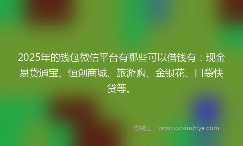 2025年的钱包微信平台有哪些可以借钱有：现金易贷通宝、恒创商城、旅游购、金银花、口袋快贷等。