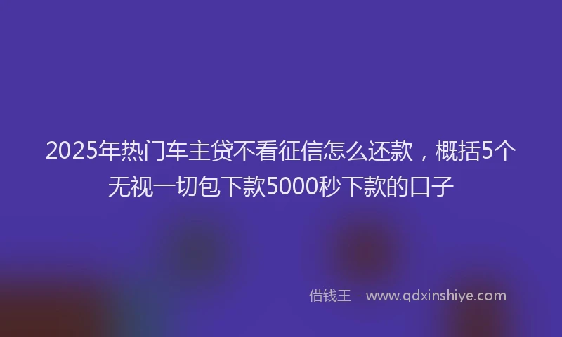 2025年热门车主贷不看征信怎么还款,概括5个无视一切包下款5000秒下款的口子
