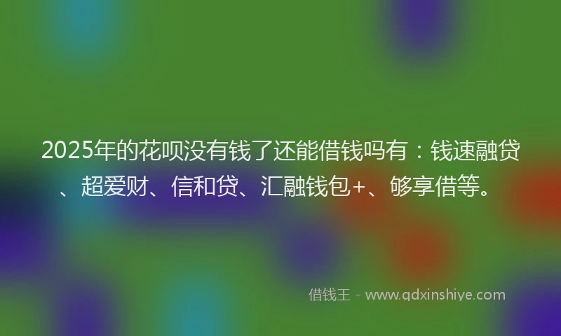 2025年的花呗没有钱了还能借钱吗有：钱速融贷、超爱财、信和贷、汇融钱包+、够享借等。