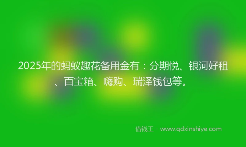 2025年的蚂蚁趣花备用金有：分期悦、银河好租、百宝箱、嗨购、瑞泽钱包等。