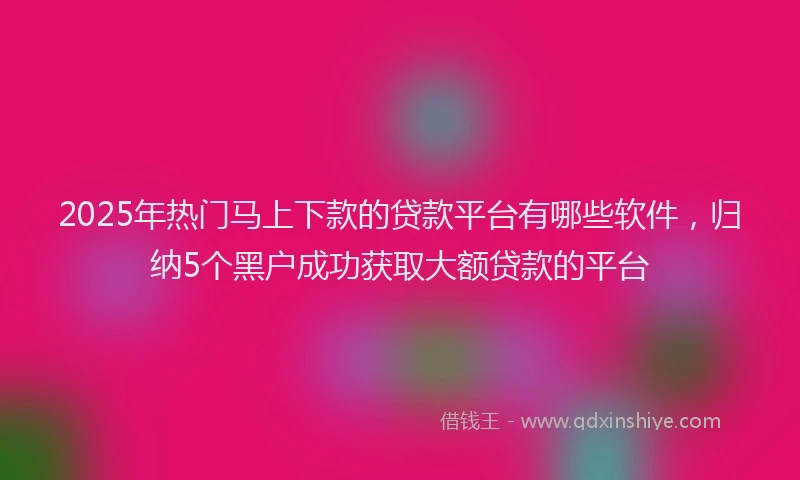2025年热门马上下款的贷款平台有哪些软件,归纳5个黑户成功获取大额贷款的平台