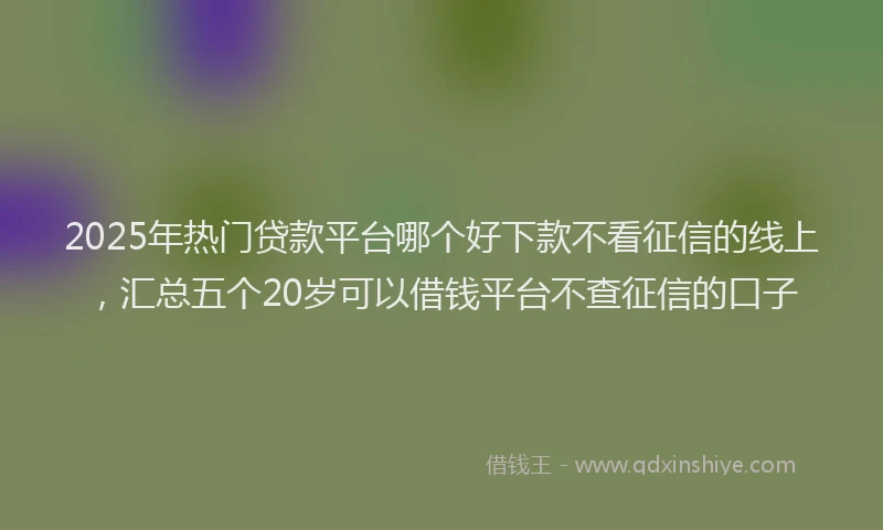 2025年热门贷款平台哪个好下款不看征信的线上,汇总五个20岁可以借钱平台不查征信的口子