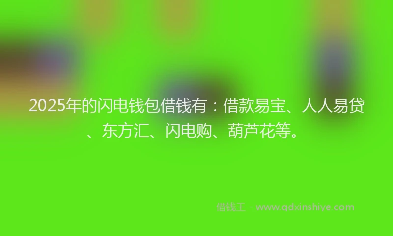 2025年的闪电钱包借钱有：借款易宝、人人易贷、东方汇、闪电购、葫芦花等。