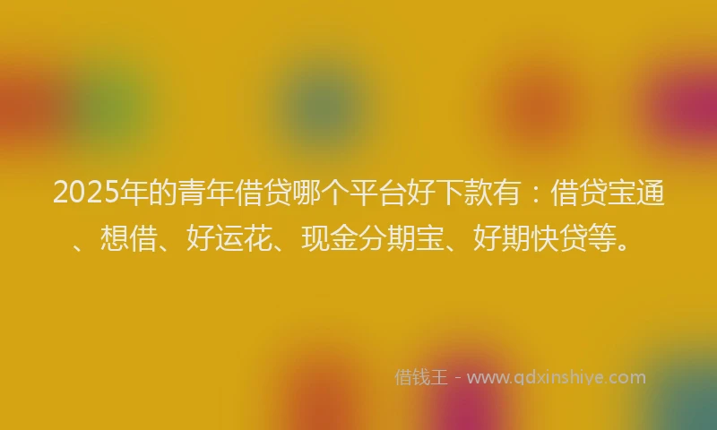 2025年的青年借贷哪个平台好下款有：借贷宝通、想借、好运花、现金分期宝、好期快贷等。
