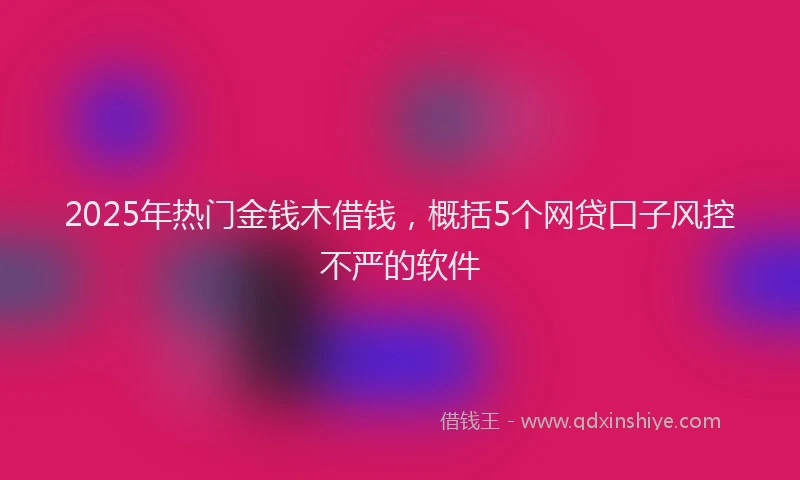 2025年热门金钱木借钱,概括5个网贷口子风控不严的软件