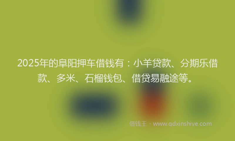 2025年的阜阳押车借钱有:小羊贷款、分期乐借款、多米、石榴钱包、借贷易融途等。