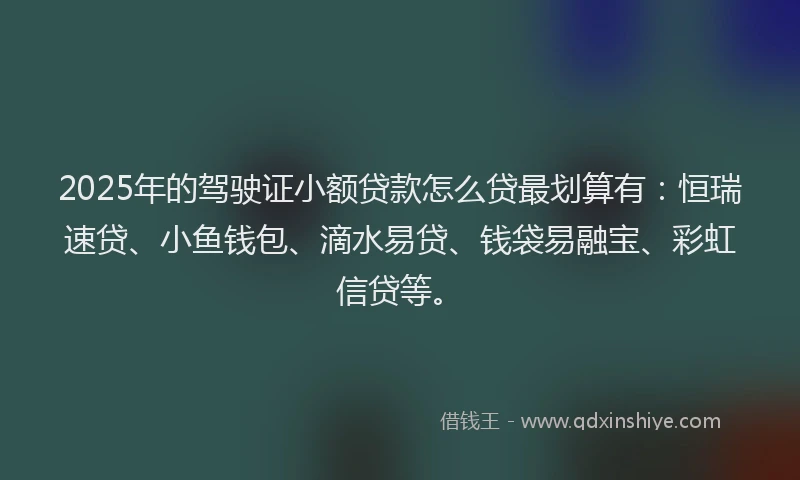 2025年的驾驶证小额贷款怎么贷最划算有:恒瑞速贷、小鱼钱包、滴水易贷、钱袋易融宝、彩虹信贷等。