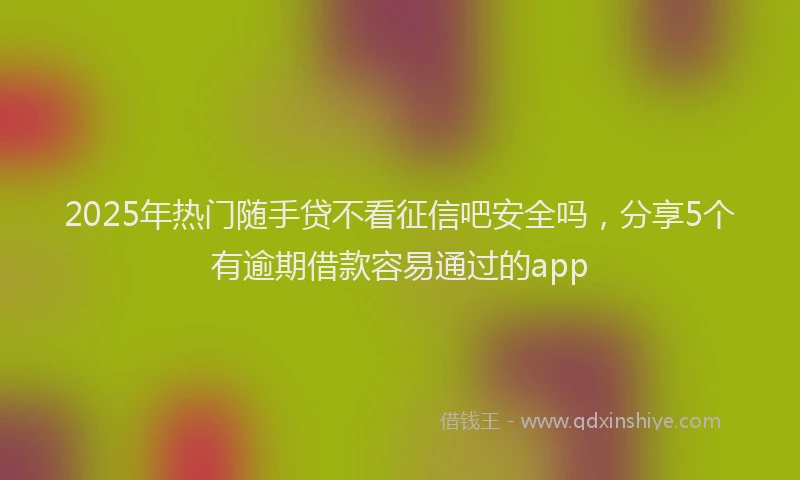 2025年热门随手贷不看征信吧安全吗，分享5个有逾期借款容易通过的app