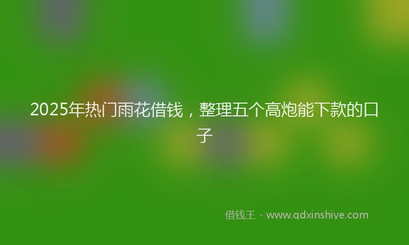 2025年热门雨花借钱，整理五个高炮能下款的口子