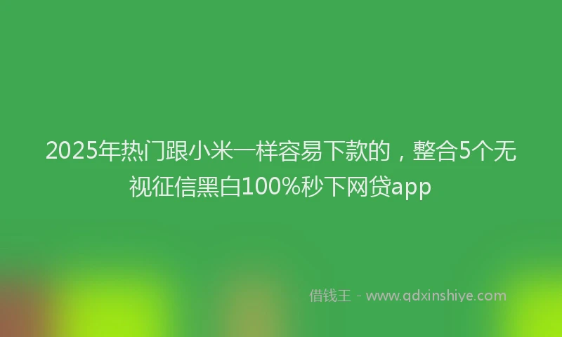 2025年热门跟小米一样容易下款的,整合5个无视征信黑白100%秒下网贷app