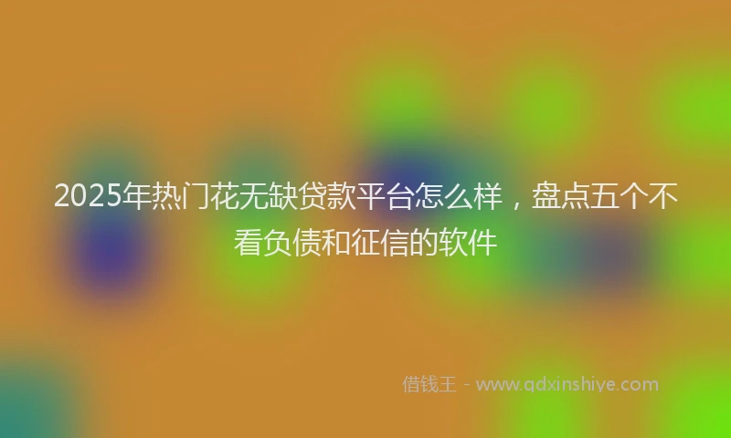 2025年热门花无缺贷款平台怎么样，盘点五个不看负债和征信的软件