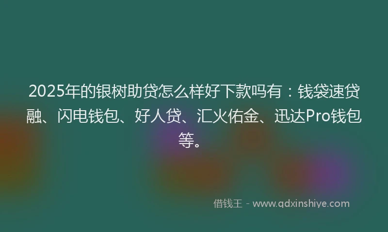 2025年的银树助贷怎么样好下款吗有:钱袋速贷融、闪电钱包、好人贷、汇火佑金、迅达Pro钱包等。