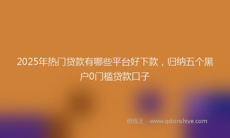 2025年热门贷款有哪些平台好下款,归纳五个黑户0门槛贷款口子