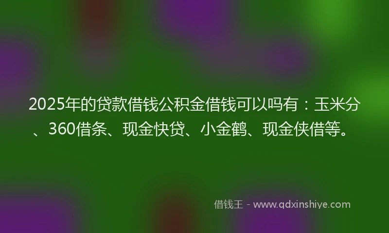 2025年的贷款借钱公积金借钱可以吗有:玉米分、360借条、现金快贷、小金鹤、现金侠借等。