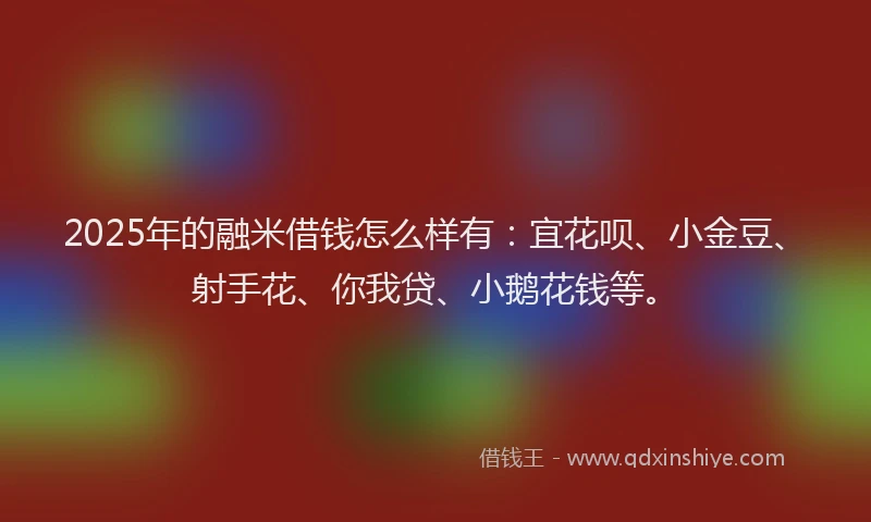 2025年的融米借钱怎么样有：宜花呗、小金豆、射手花、你我贷、小鹅花钱等。