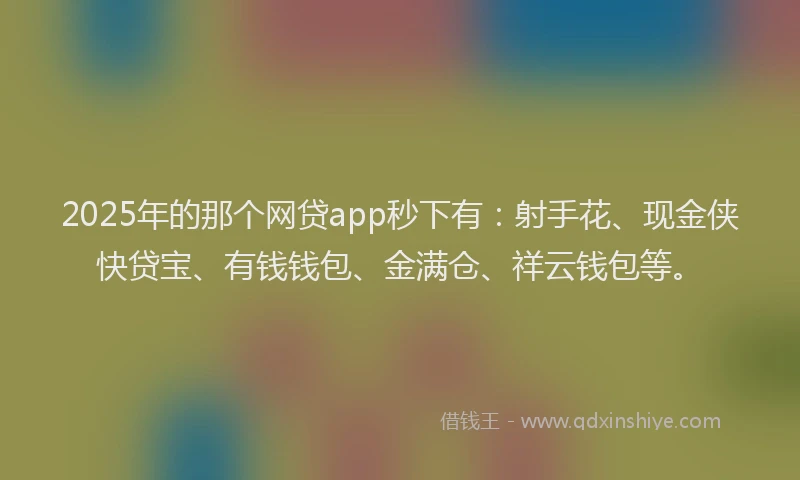 2025年的那个网贷app秒下有：射手花、现金侠快贷宝、有钱钱包、金满仓、祥云钱包等。