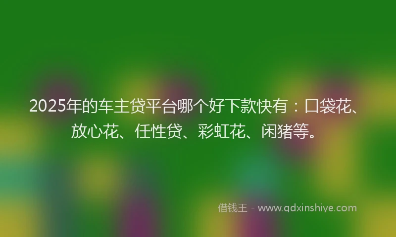 2025年的车主贷平台哪个好下款快有:口袋花、放心花、任性贷、彩虹花、闲猪等。
