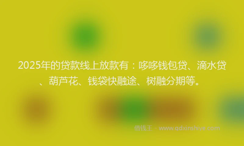 2025年的贷款线上放款有：哆哆钱包贷、滴水贷、葫芦花、钱袋快融途、树融分期等。