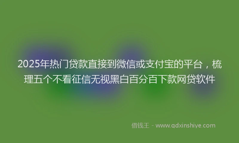2025年热门贷款直接到微信或支付宝的平台,梳理五个不看征信无视黑白百分百下款网贷软件