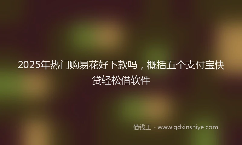 2025年热门购易花好下款吗，概括五个支付宝快贷轻松借软件