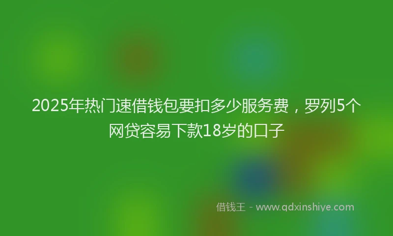 2025年热门速借钱包要扣多少服务费，罗列5个网贷容易下款18岁的口子