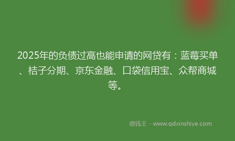 2025年的负债过高也能申请的网贷有:蓝莓买单、桔子分期、京东金融、口袋信用宝、众帮商城等。