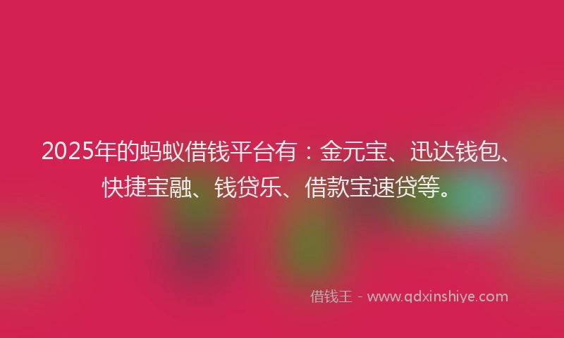 2025年的蚂蚁借钱平台有:金元宝、迅达钱包、快捷宝融、钱贷乐、借款宝速贷等。