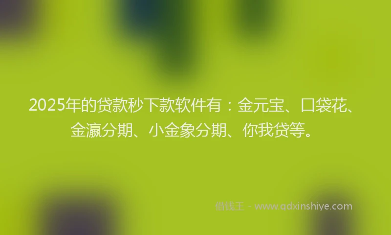 2025年的贷款秒下款软件有：金元宝、口袋花、金瀛分期、小金象分期、你我贷等。