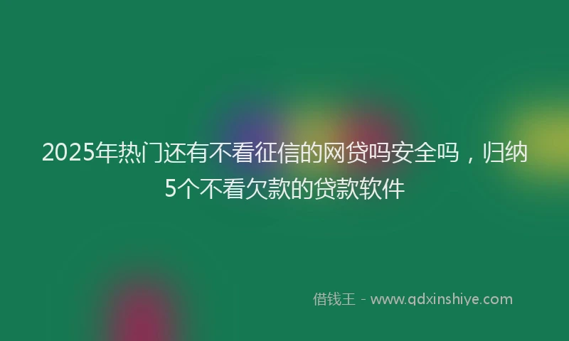 2025年热门还有不看征信的网贷吗安全吗,归纳5个不看欠款的贷款软件