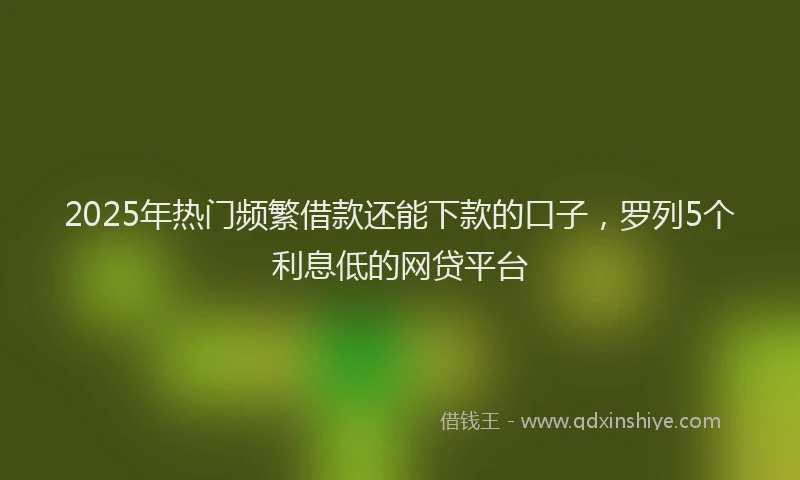 2025年热门频繁借款还能下款的口子，罗列5个利息低的网贷平台