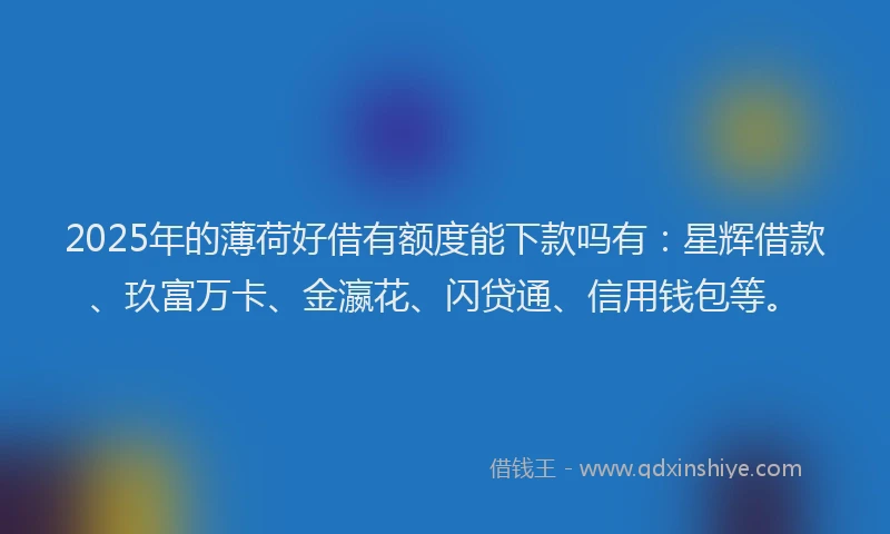 2025年的薄荷好借有额度能下款吗有：星辉借款、玖富万卡、金瀛花、闪贷通、信用钱包等。