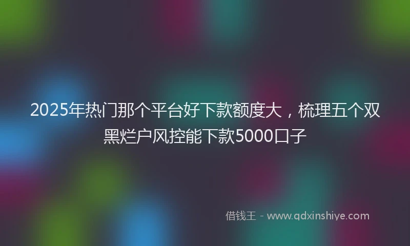 2025年热门那个平台好下款额度大，梳理五个双黑烂户风控能下款5000口子